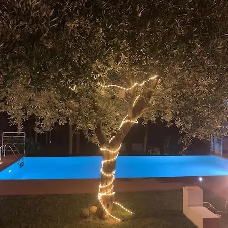 San Rocco Pesaro