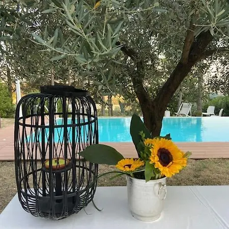 Villa San Rocco Pesaro