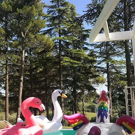 San Rocco * 페자로